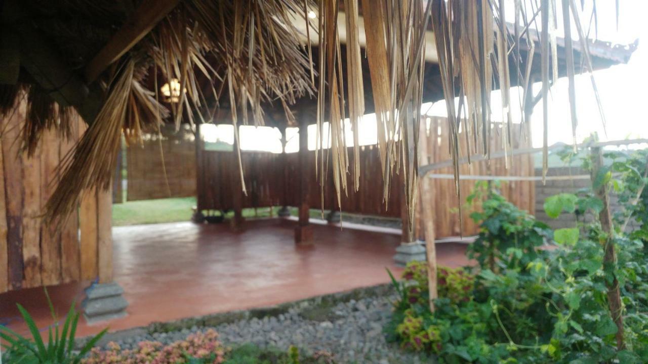 Bali Tiger Hideaway Hotel Pulukan Buitenkant foto