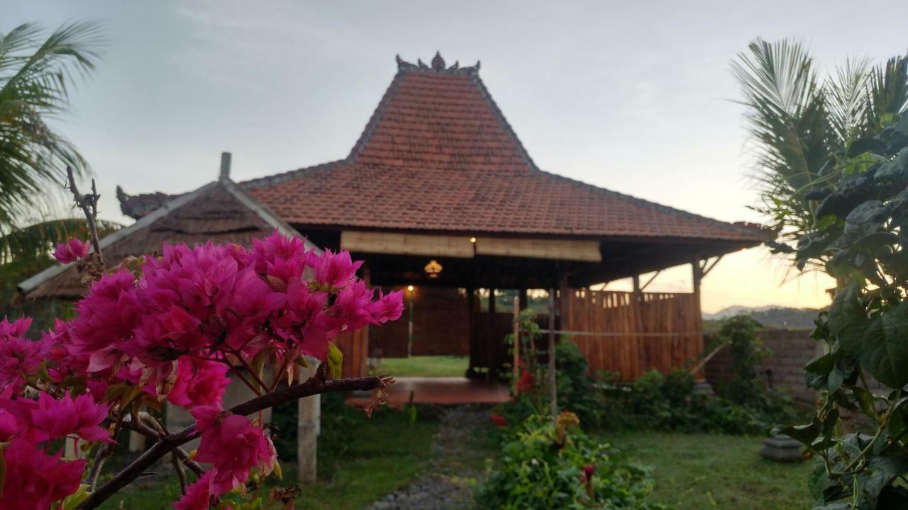 Bali Tiger Hideaway Hotel Pulukan Buitenkant foto