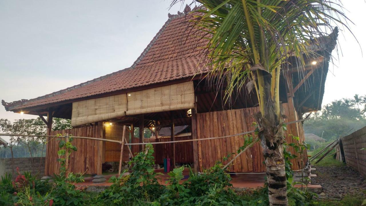 Bali Tiger Hideaway Hotel Pulukan Buitenkant foto