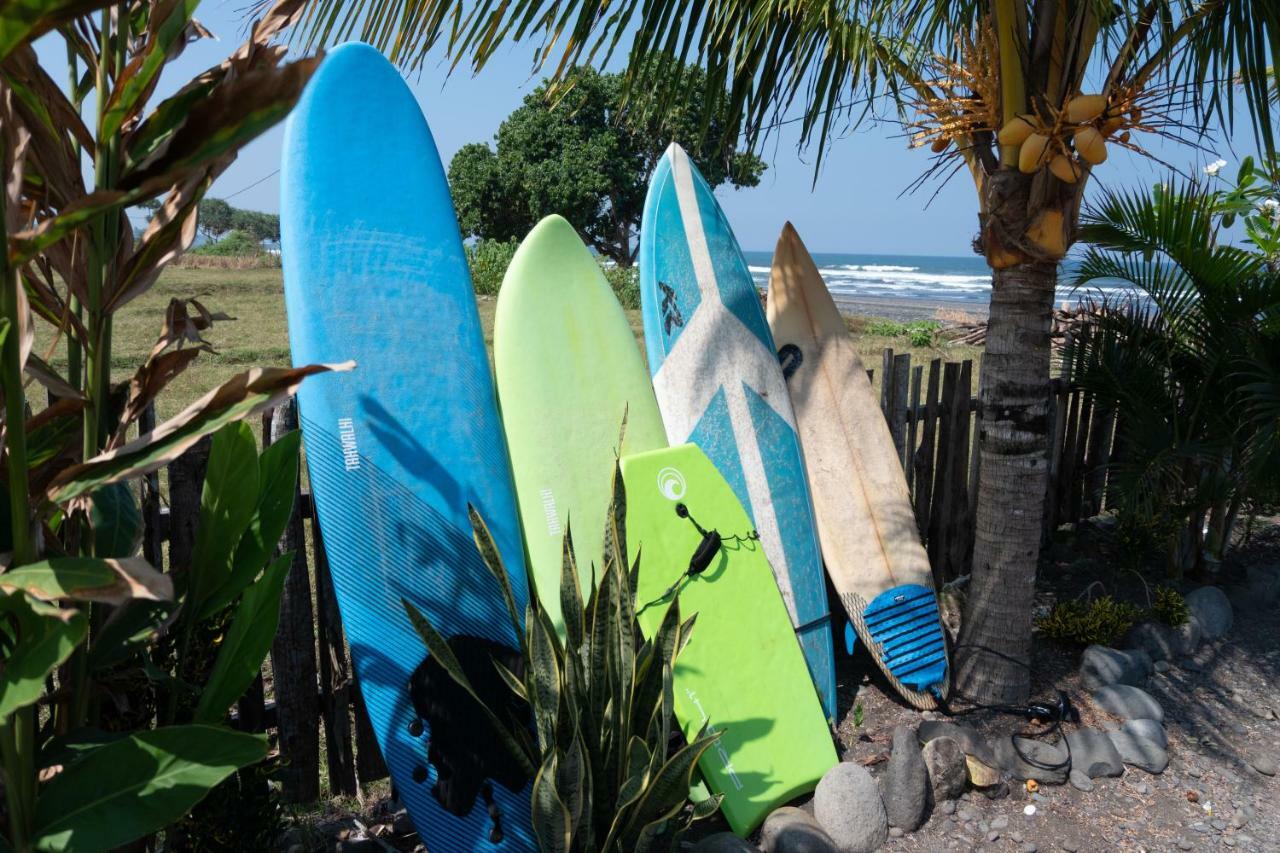Bali Tiger Hideaway Hotel Pulukan Buitenkant foto
