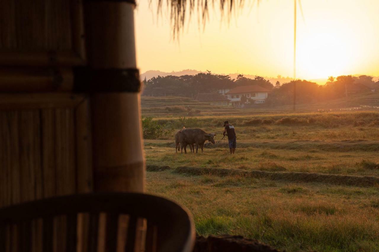 Bali Tiger Hideaway Hotel Pulukan Buitenkant foto