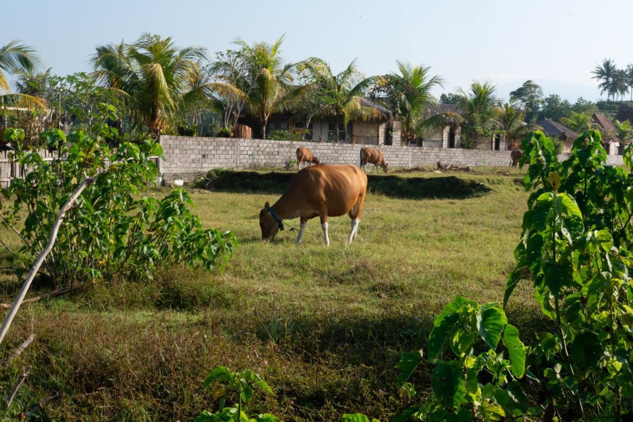 Bali Tiger Hideaway Hotel Pulukan Buitenkant foto